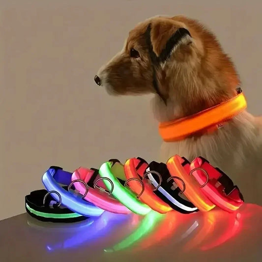 LED Safety Dog Collar – Rechargeable, Waterproof & Night Visibility
