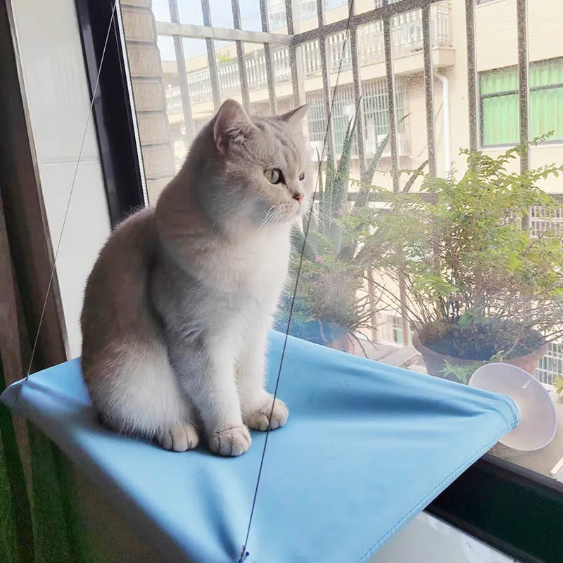 Premium Cat Window Hammock – Heavy-Duty Suction Cup Cat Bed (Up to 20kg)