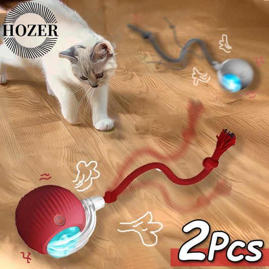 Interactive Electric Cat Ball Toy – 2 Pack | Rechargeable, Smart, LED Play Ball