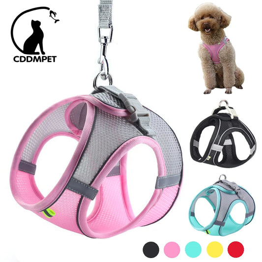 Dog Harness & Leash Set – Adjustable, Safe & Comfortable